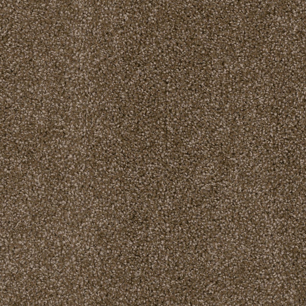 DreamWeaver Cedar Creek — Black Walnut carpet swatch