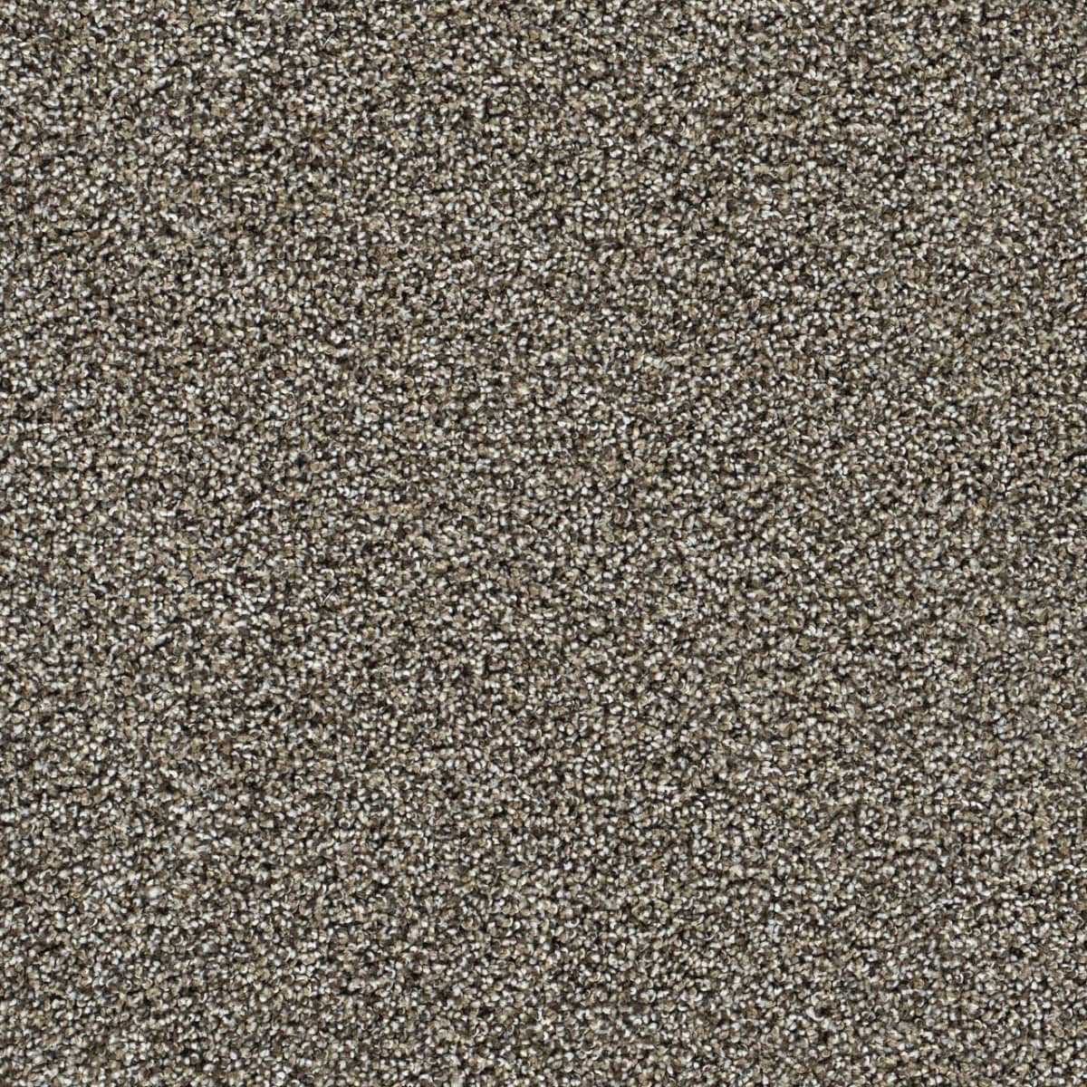 Captivating III Dark Truffle — Captivating III Carpet Flooring ...