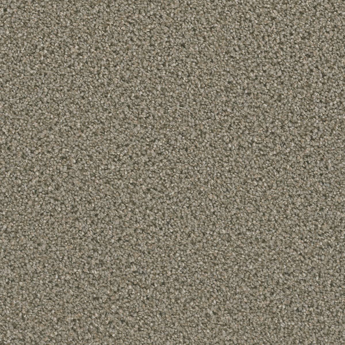 DreamWeaver Dazzling — Ash carpet swatch