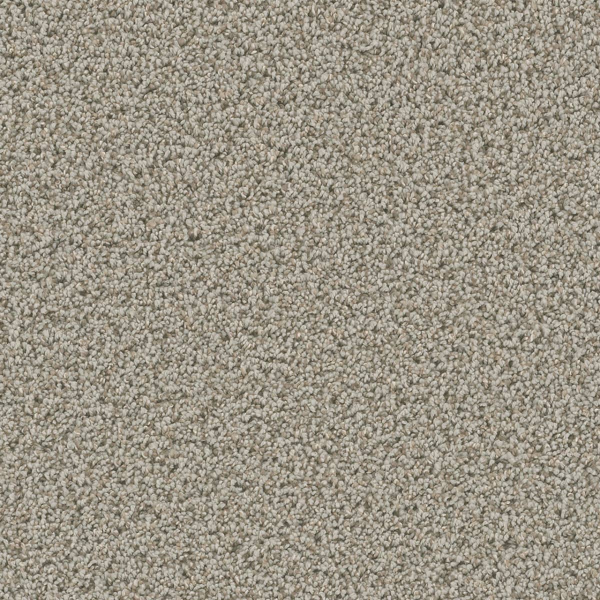 DreamWeaver Dazzling — Stucco carpet swatch