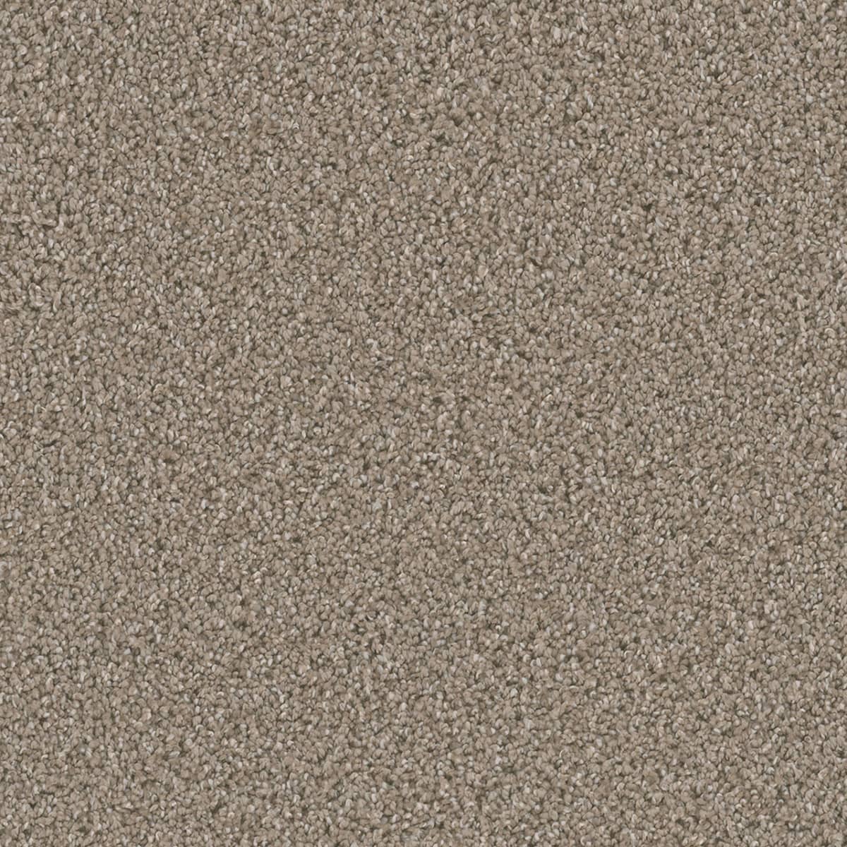 DreamWeaver Dazzling — Tumbleweed carpet swatch