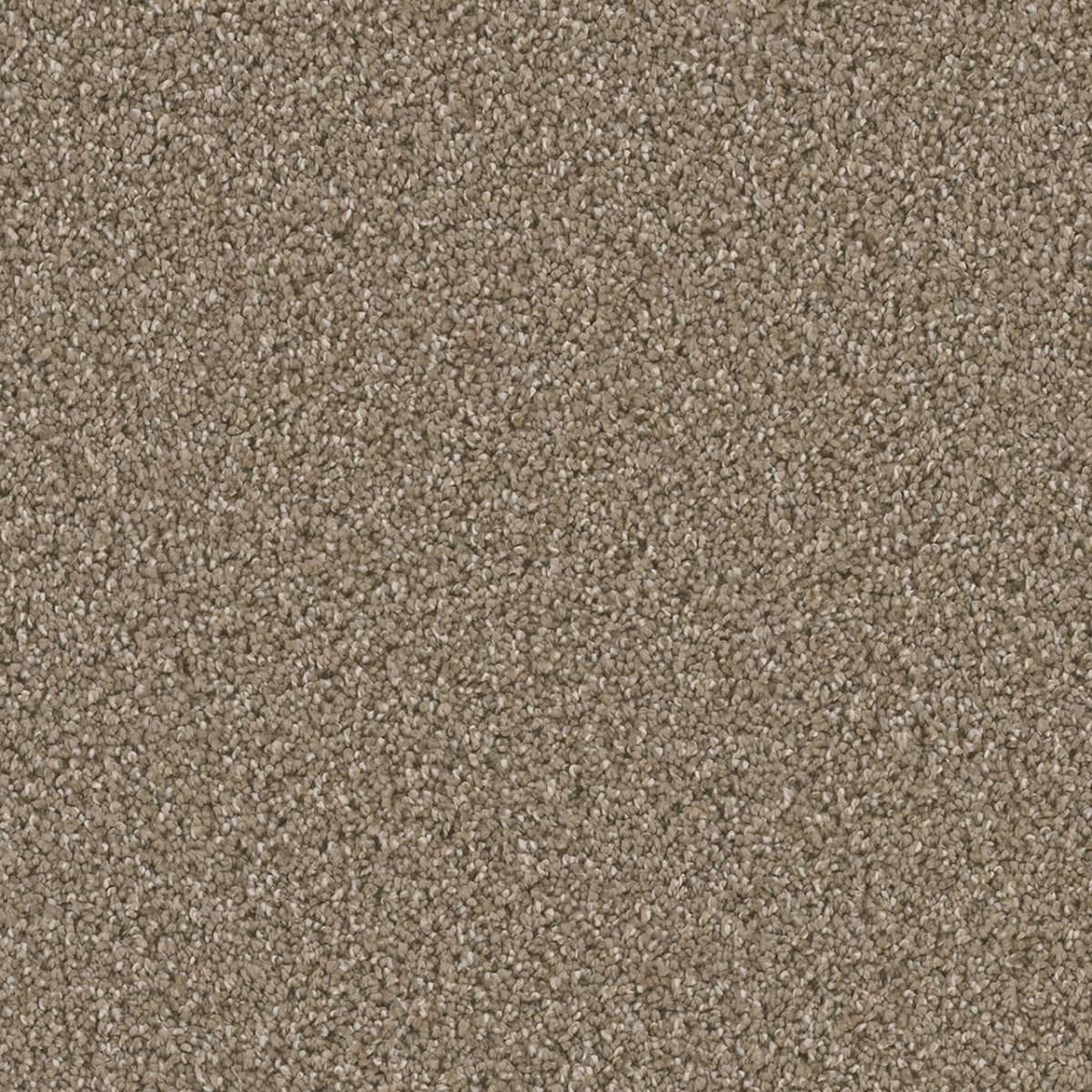 DreamWeaver Dazzling — Acorn carpet swatch