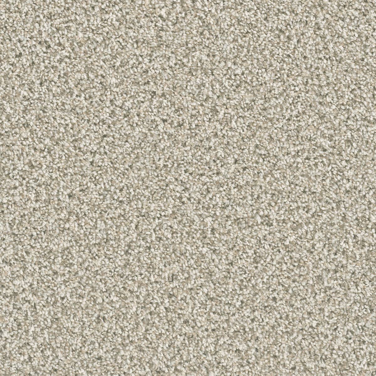 DreamWeaver Dazzling — Seashells carpet swatch