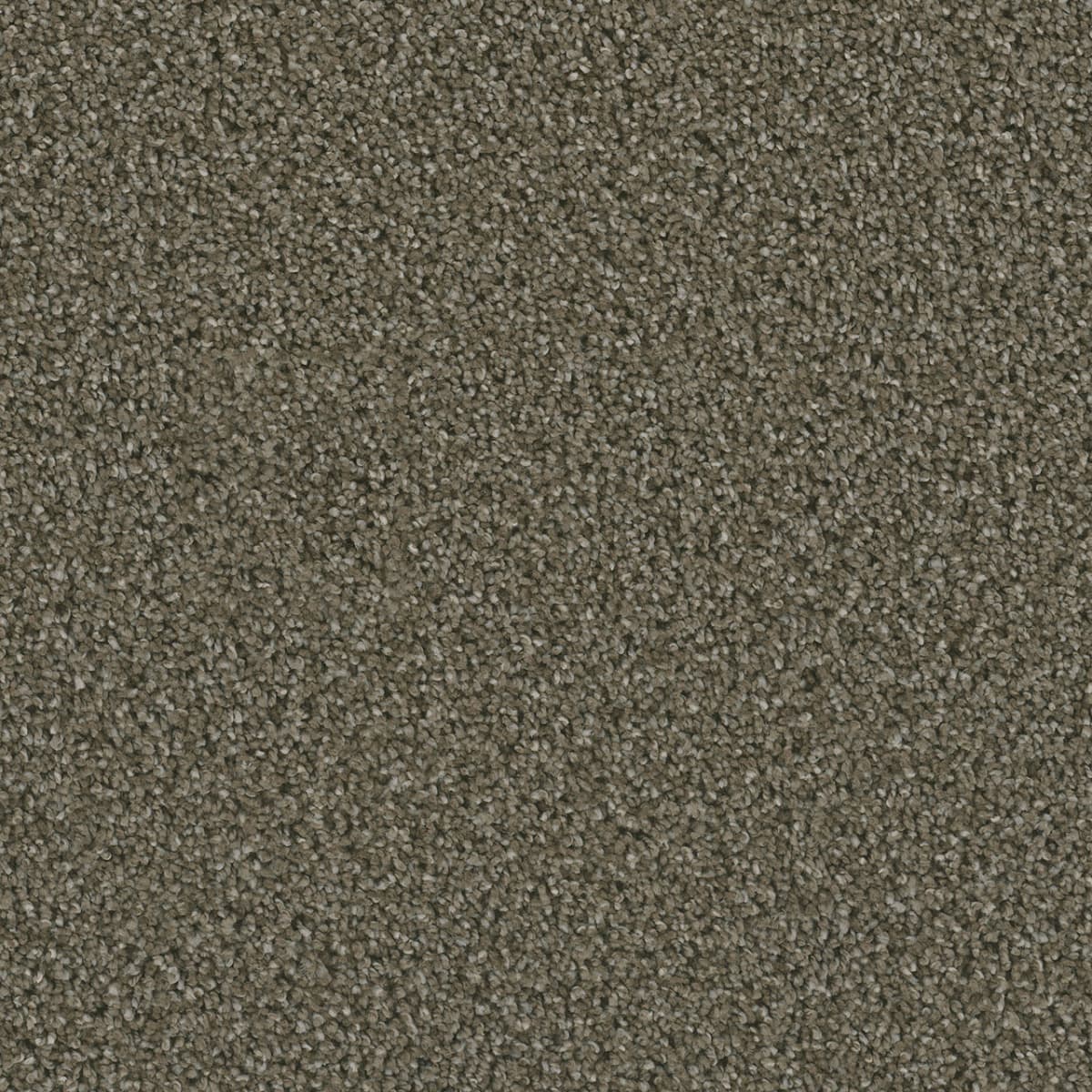 DreamWeaver Dazzling — Peppercorn carpet swatch