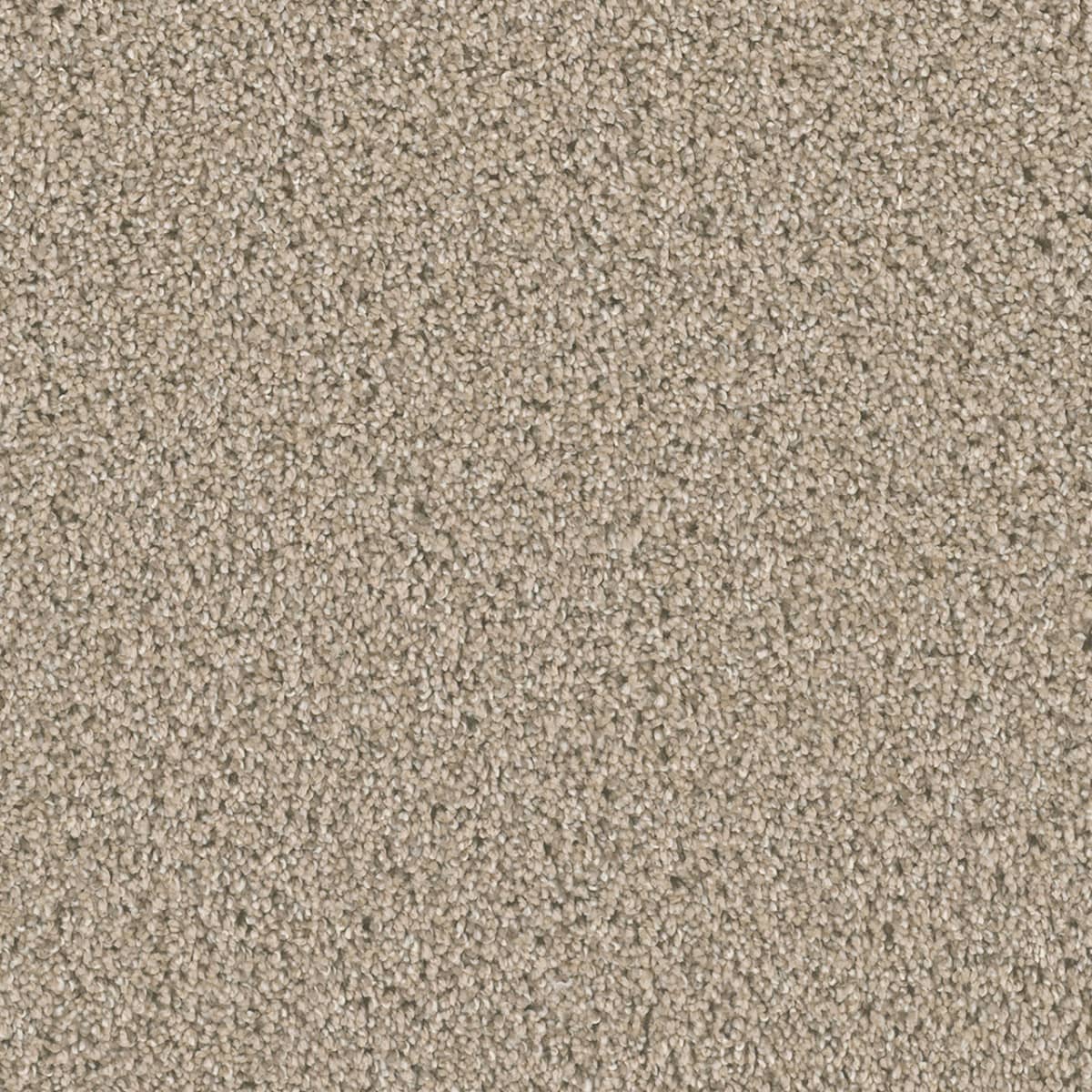 DreamWeaver Dazzling — Ginger carpet swatch