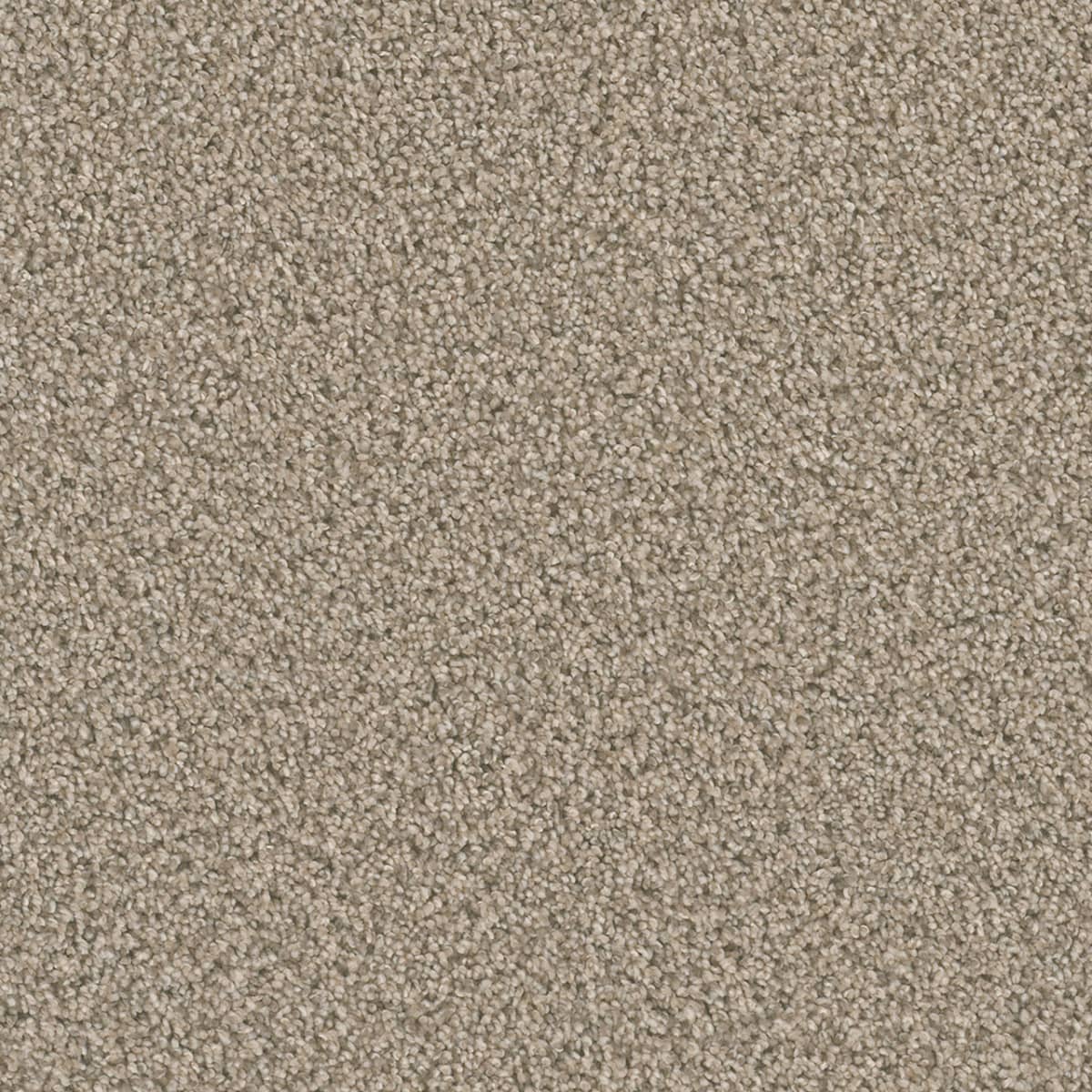 DreamWeaver Dazzling — Oxford carpet swatch