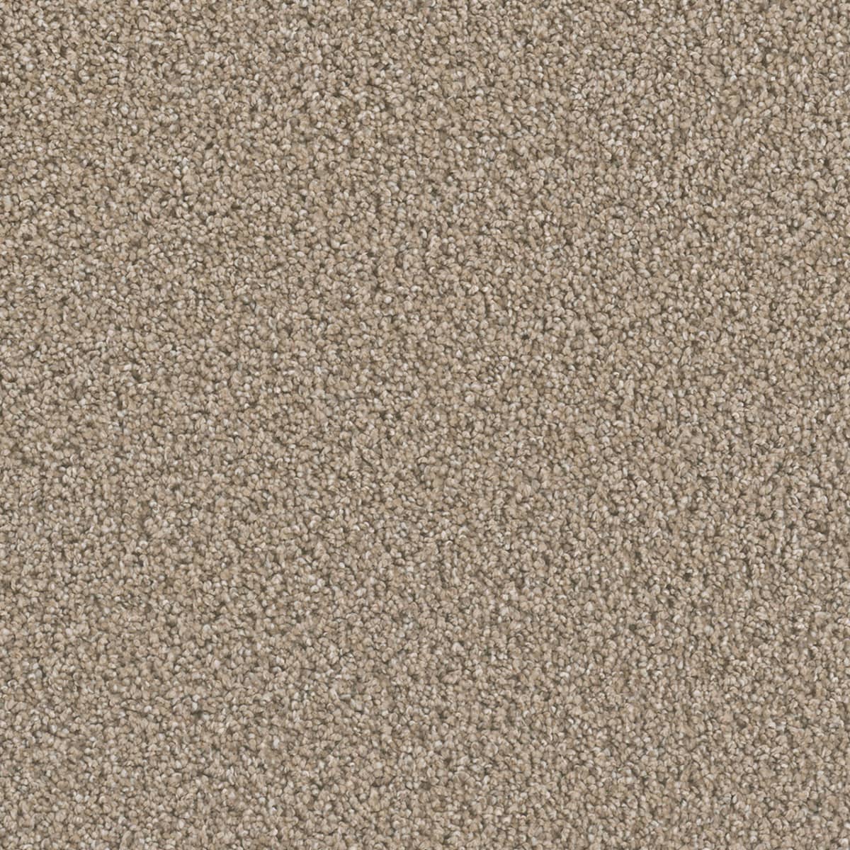 DreamWeaver Dazzling — Straw carpet swatch