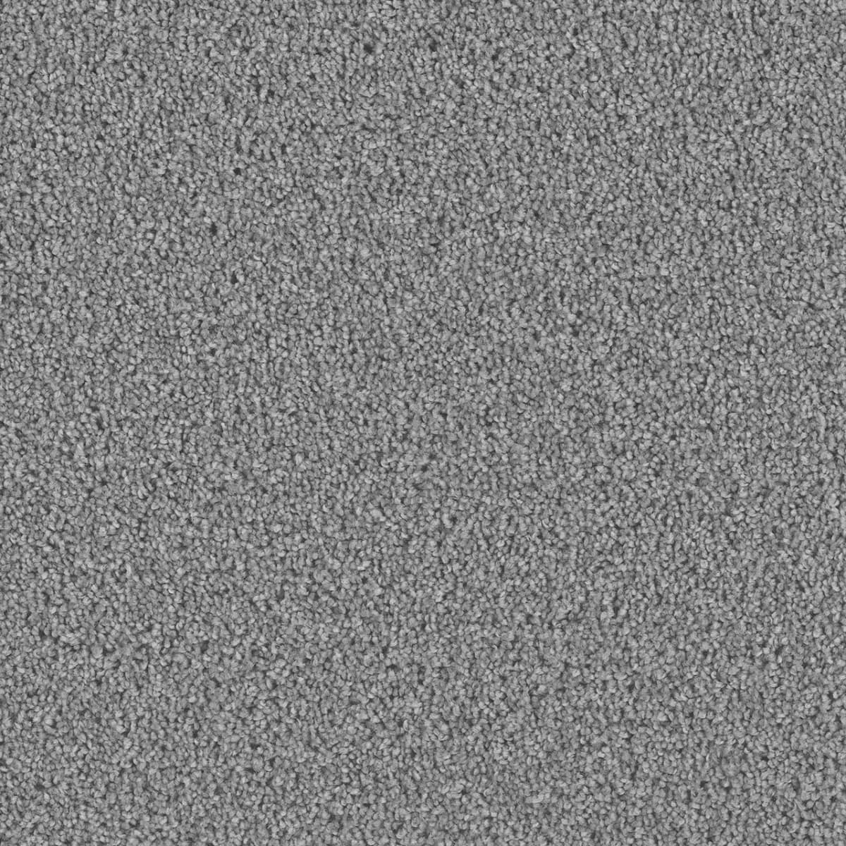 DreamWeaver Exceptional II — Bayside carpet swatch