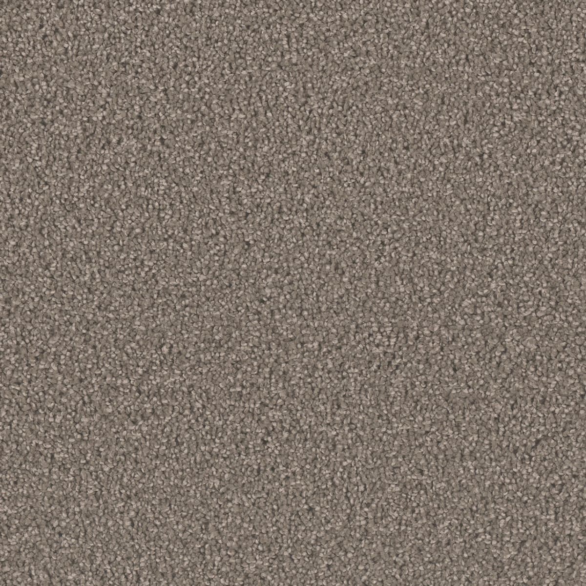 DreamWeaver Exceptional II — Riverbed carpet swatch