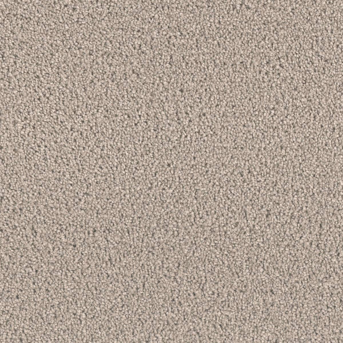 DreamWeaver Exceptional II — Mineral carpet swatch