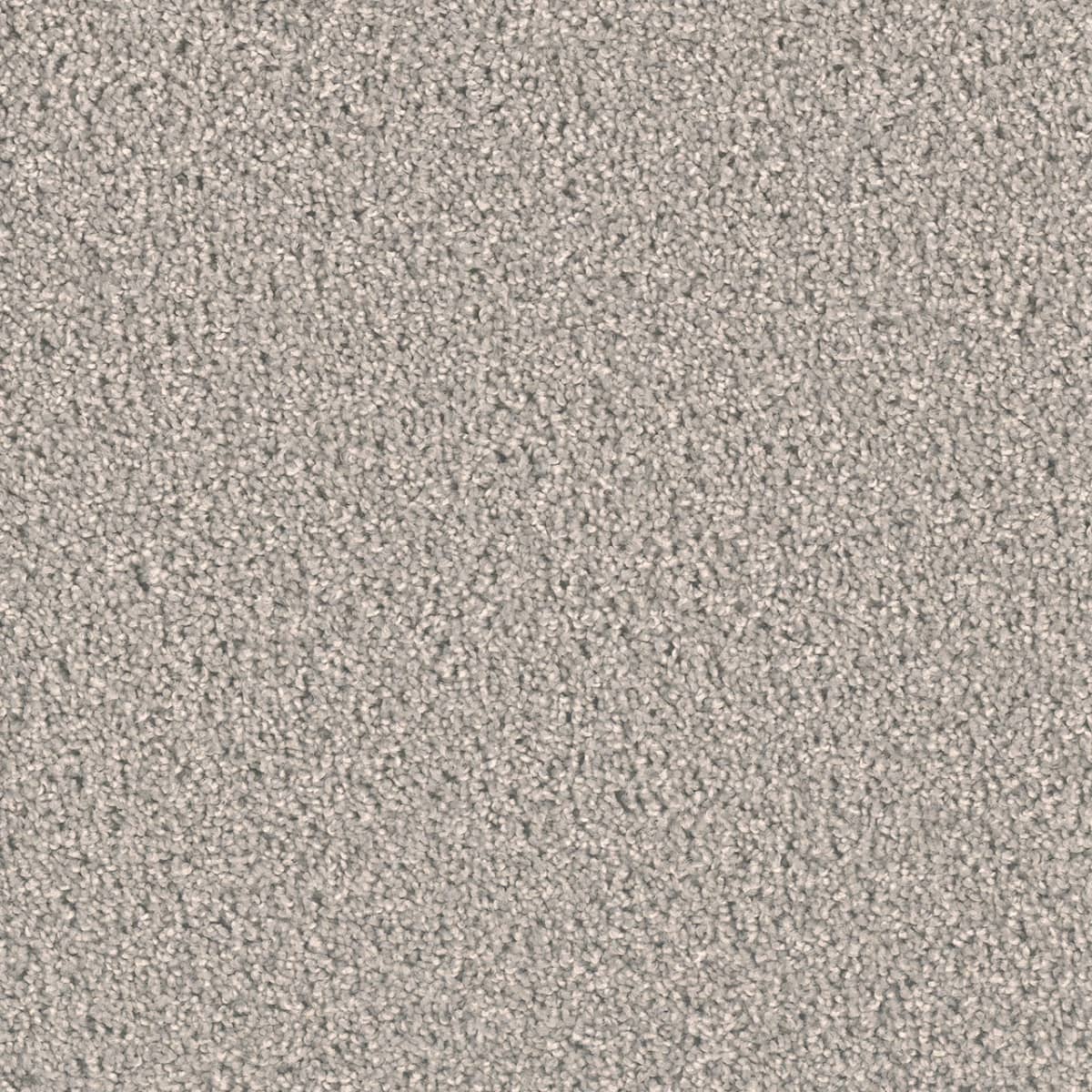 DreamWeaver Exceptional II — Silver Birch carpet swatch