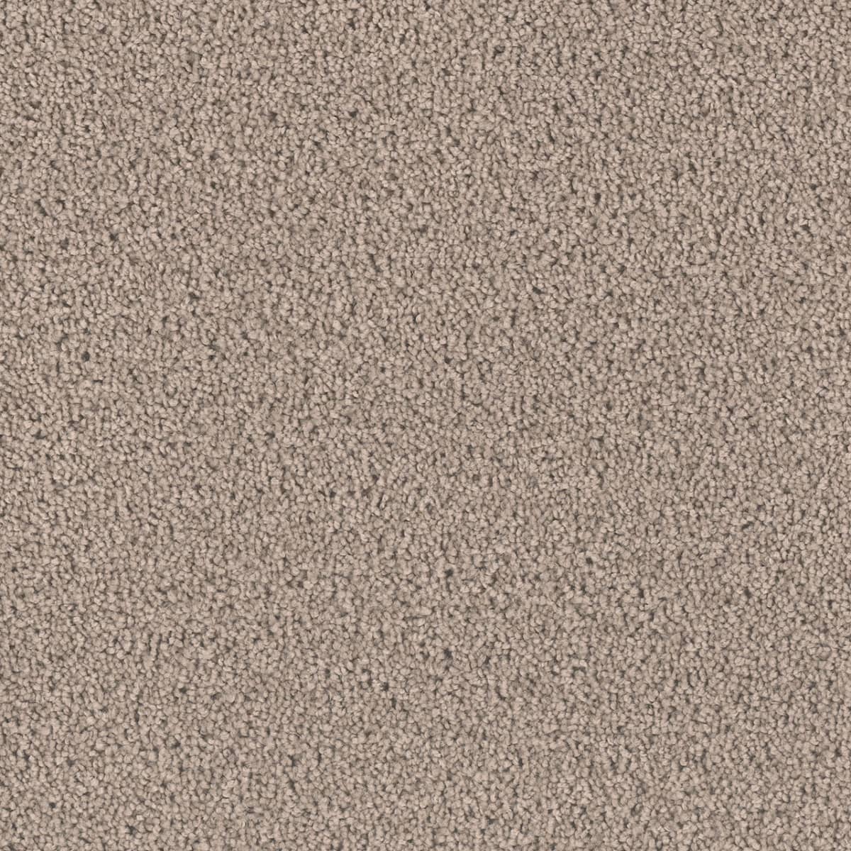 DreamWeaver Exceptional II — Castle carpet swatch
