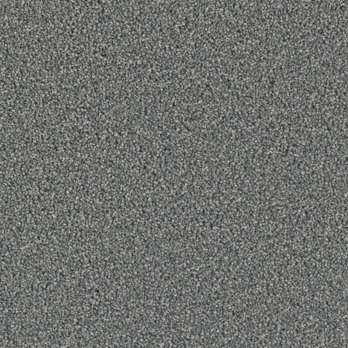 DreamWeaver Exceptional II — Steel Grey carpet swatch