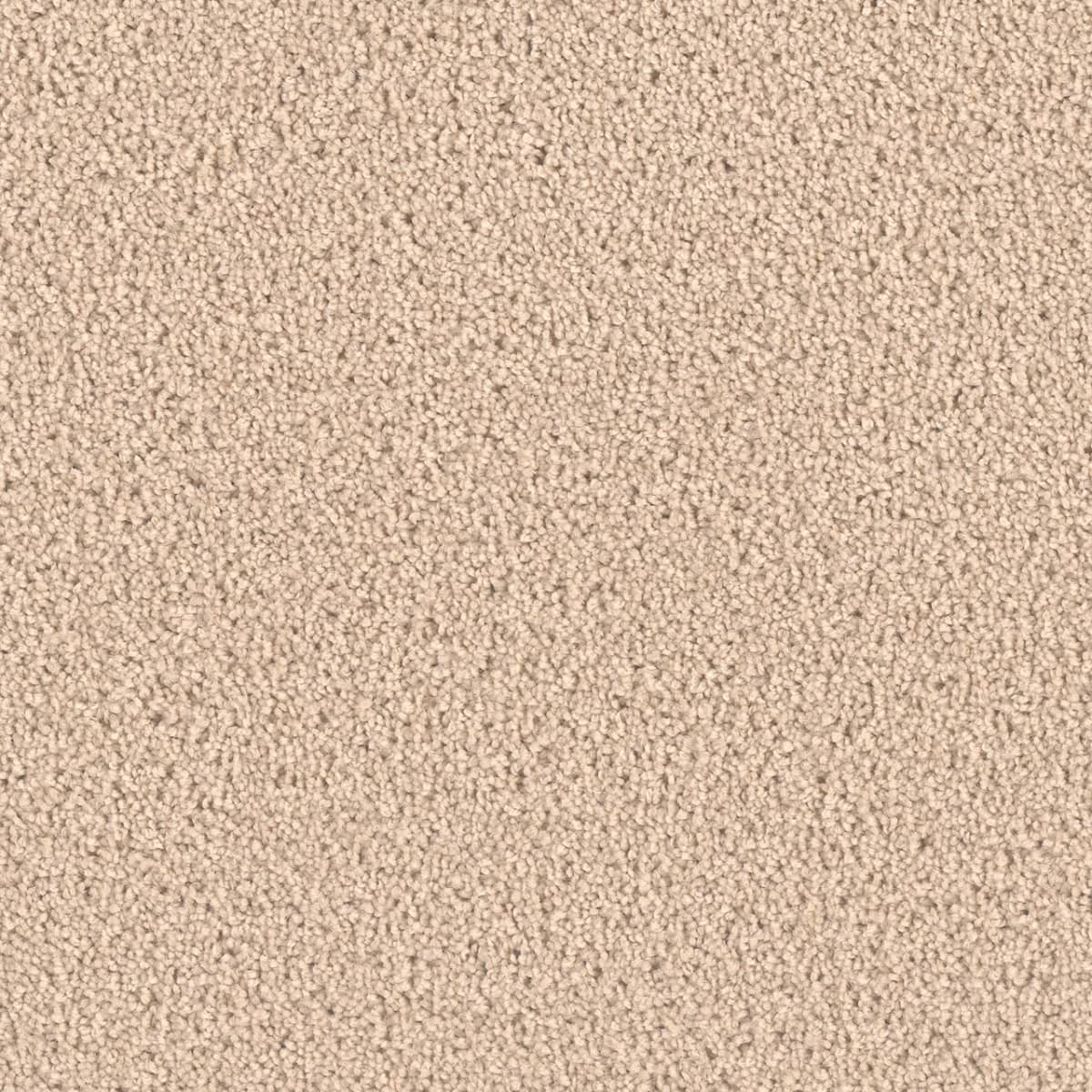DreamWeaver Exceptional II — Eggshell carpet swatch