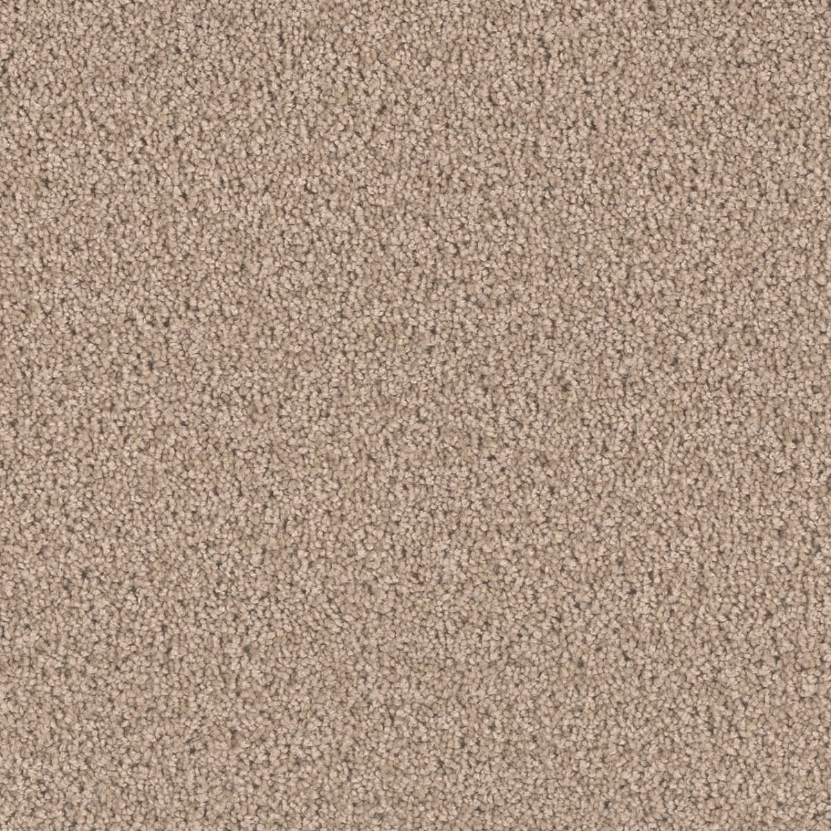 DreamWeaver Exceptional II — Hazlenut Cream carpet swatch