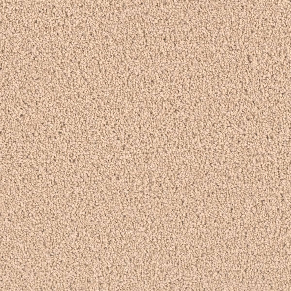 DreamWeaver Exceptional II — Cookie Dough carpet swatch