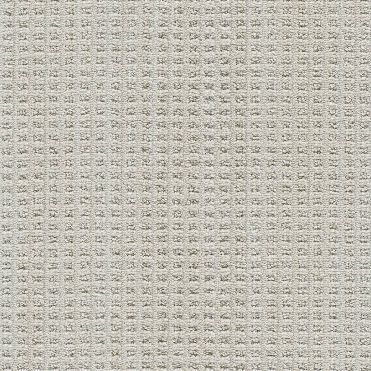 Dublin Ii | DreamWeaver Carpet Flooring | Engineered Floors