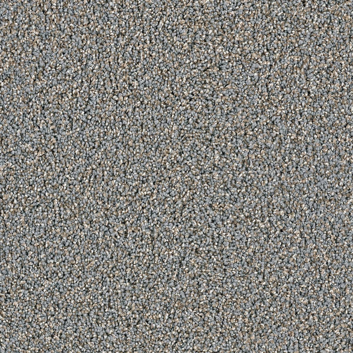 DreamWeaver Dazzling — Shadows carpet swatch
