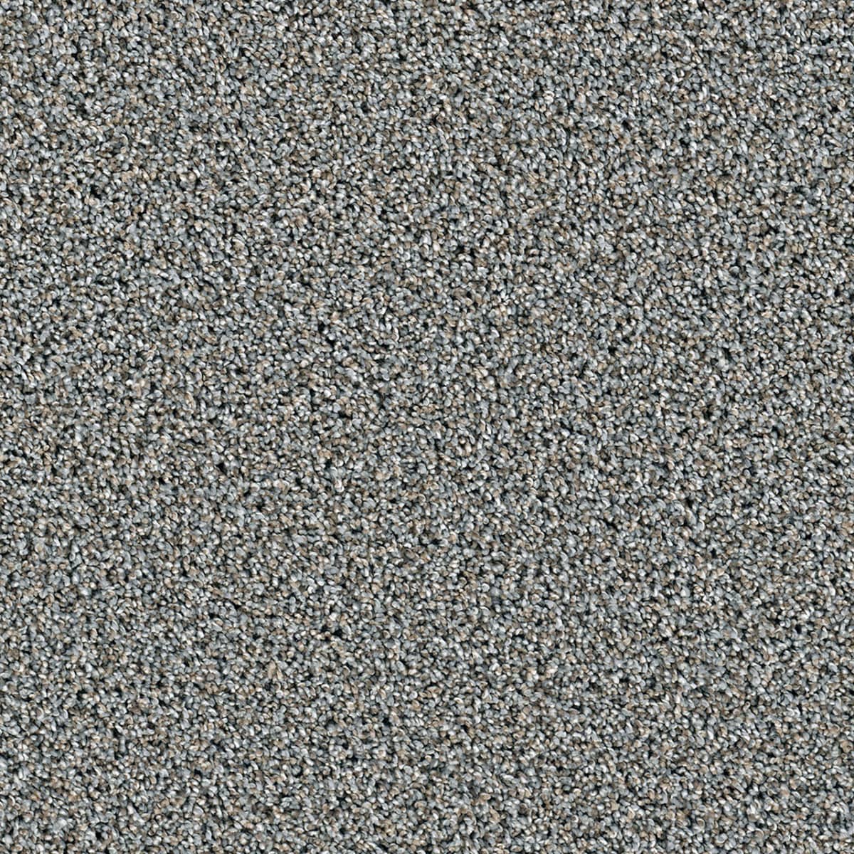 DreamWeaver Dazzling — Iron Frost carpet swatch