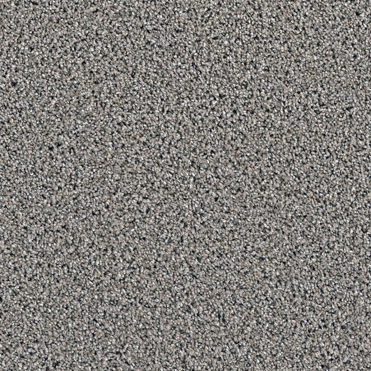 DreamWeaver Dazzling — Mocha carpet swatch