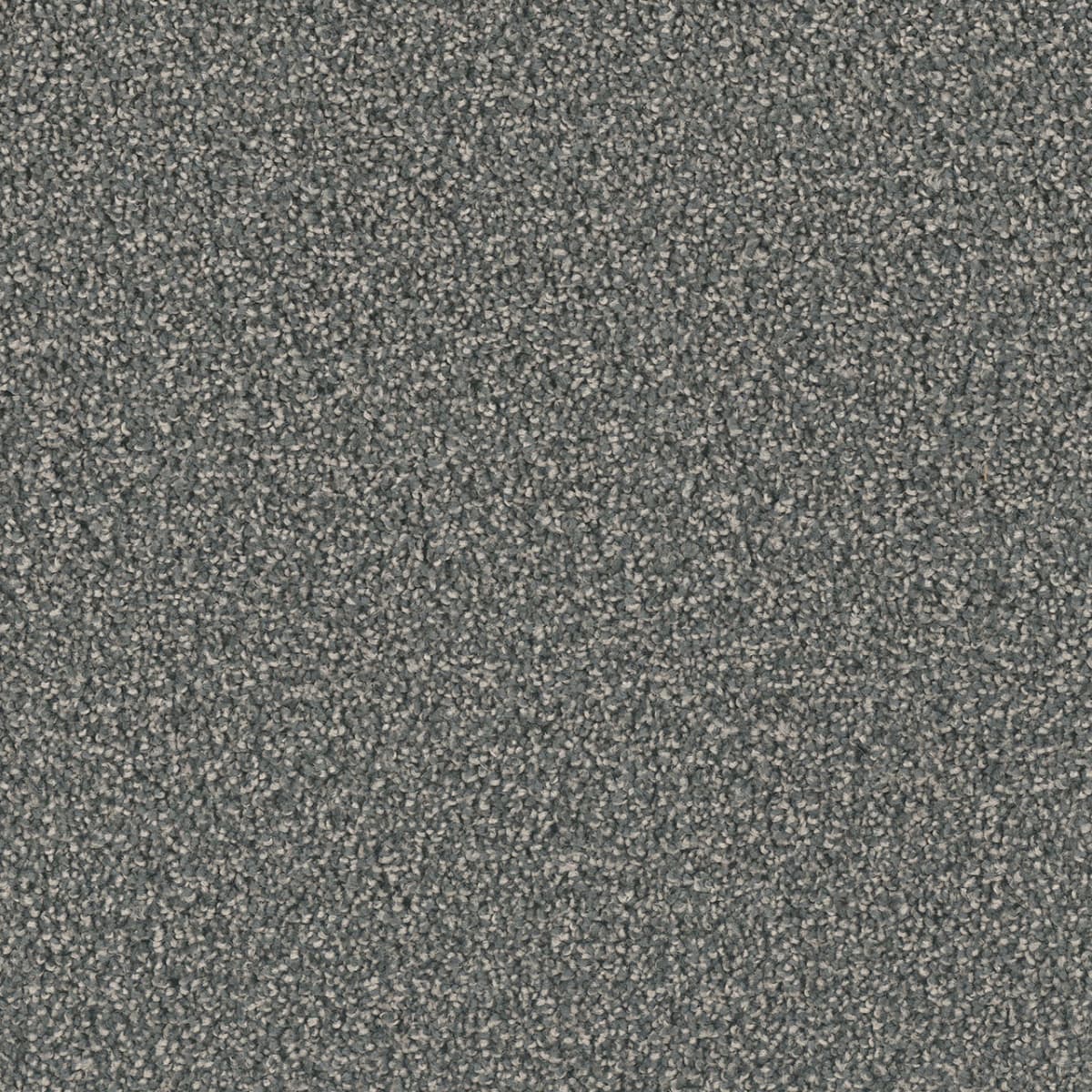 DreamWeaver Exceptional II — Electron carpet swatch