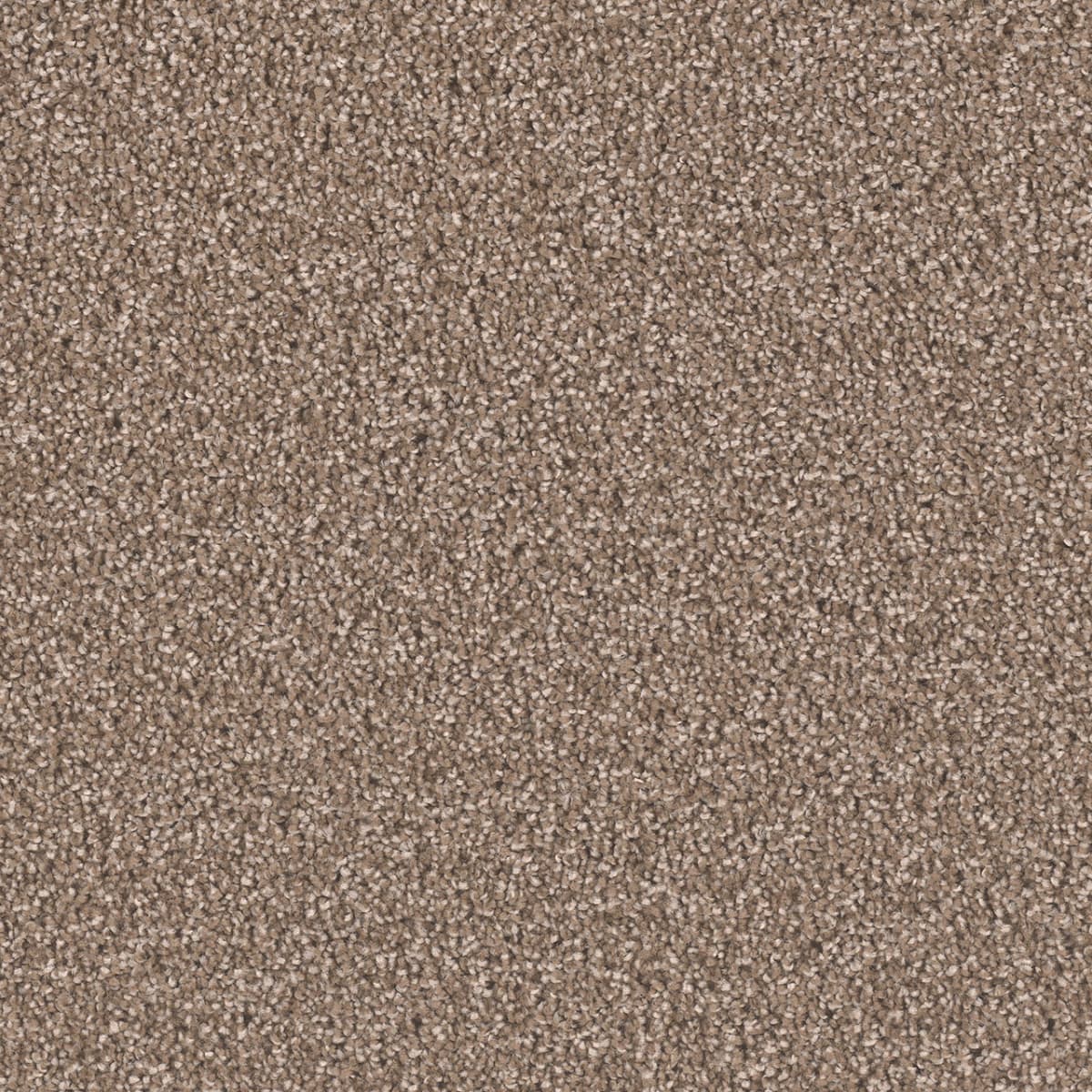 DreamWeaver Exceptional II — Tumbleweed carpet swatch