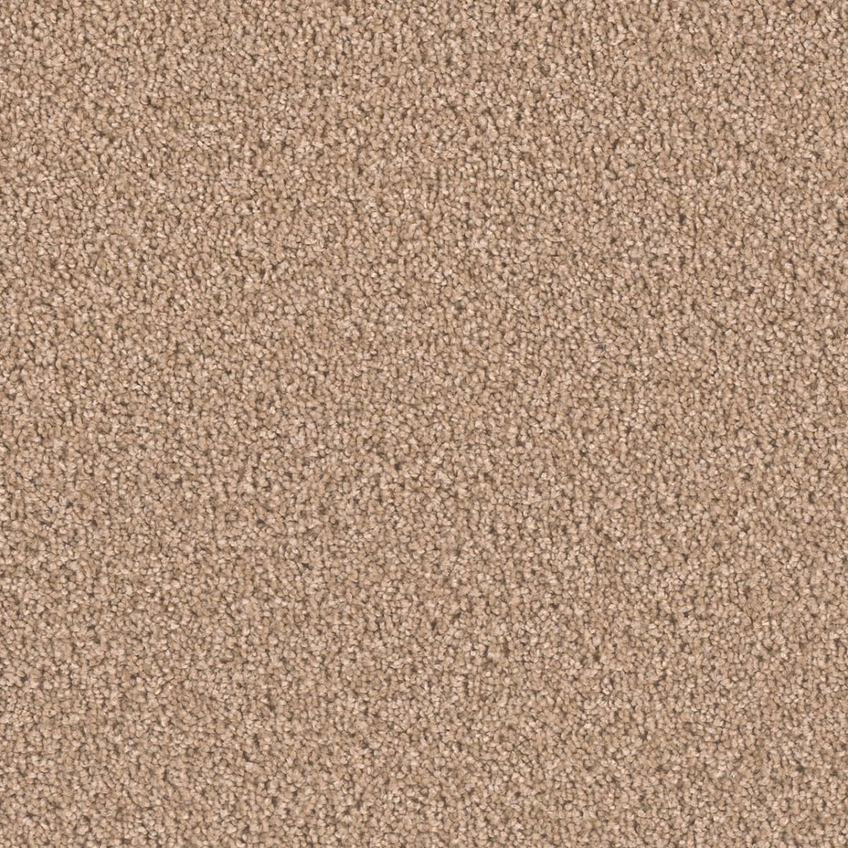 DreamWeaver Exceptional II — Buff carpet swatch