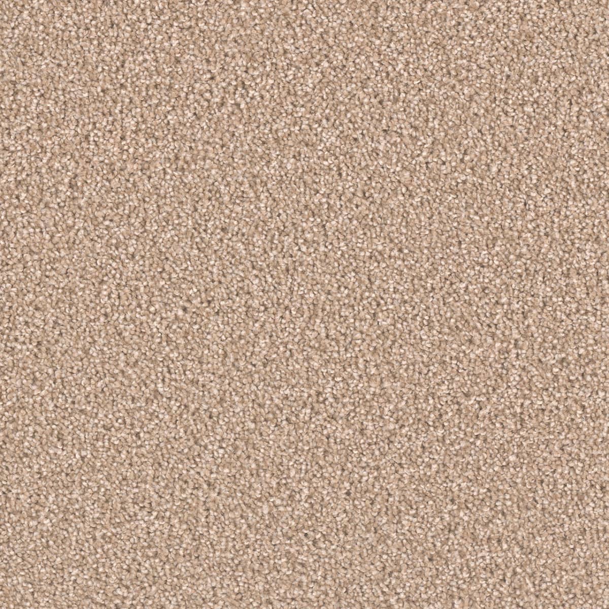 DreamWeaver Exceptional II — Sawgrass carpet swatch
