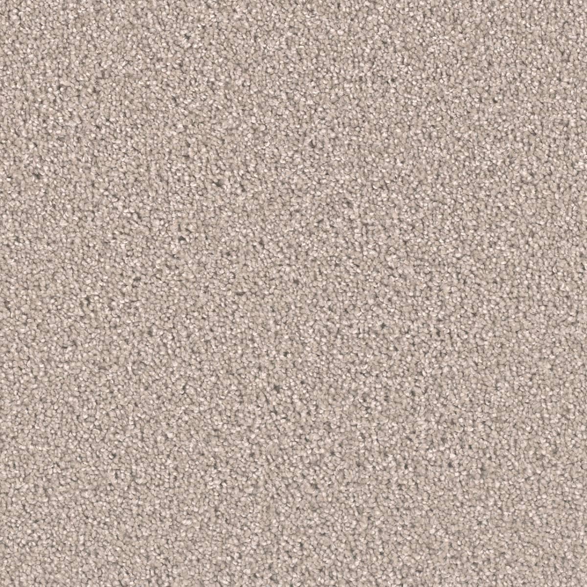 DreamWeaver Exceptional II — Clam Shell carpet swatch