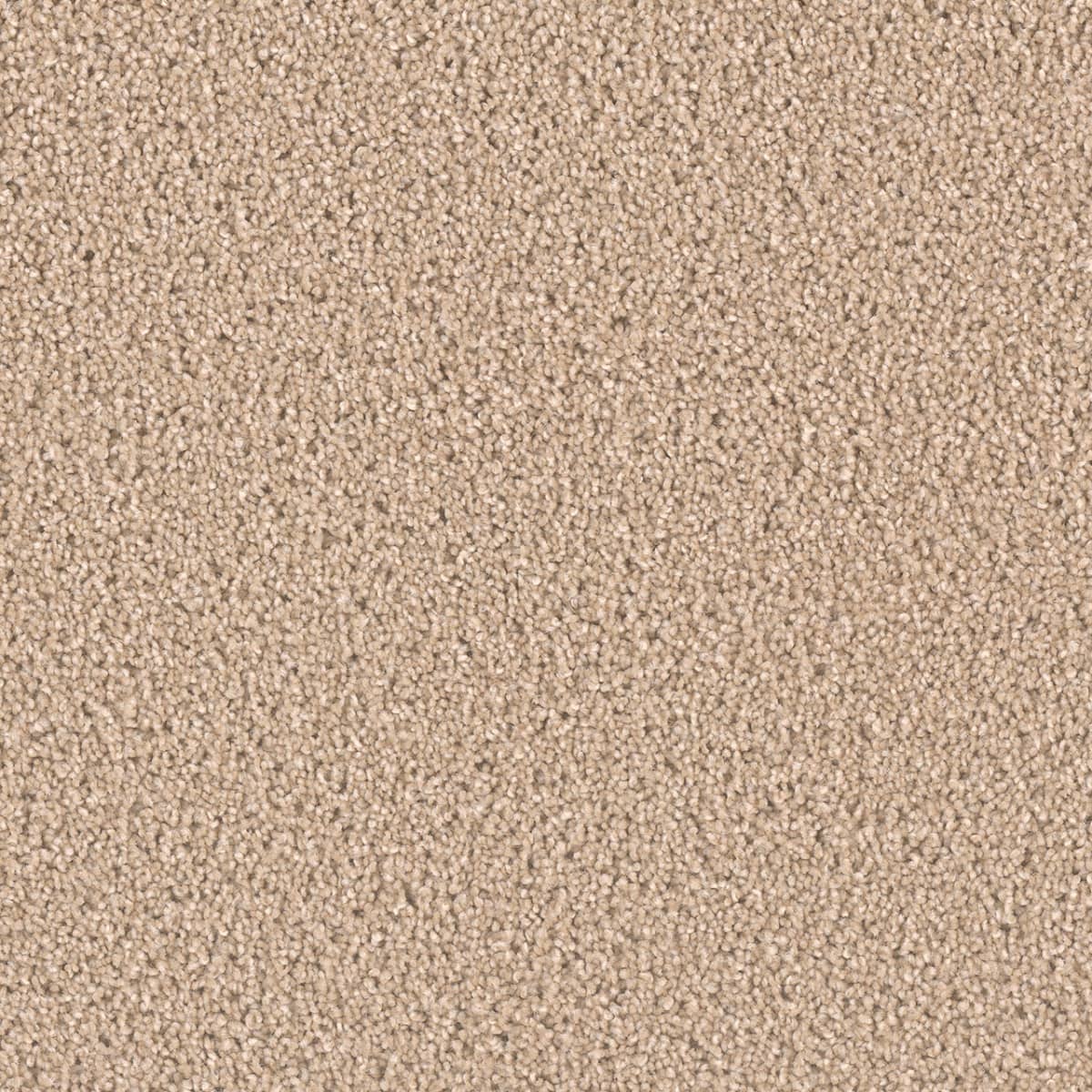 DreamWeaver Exceptional II — Cashmere carpet swatch