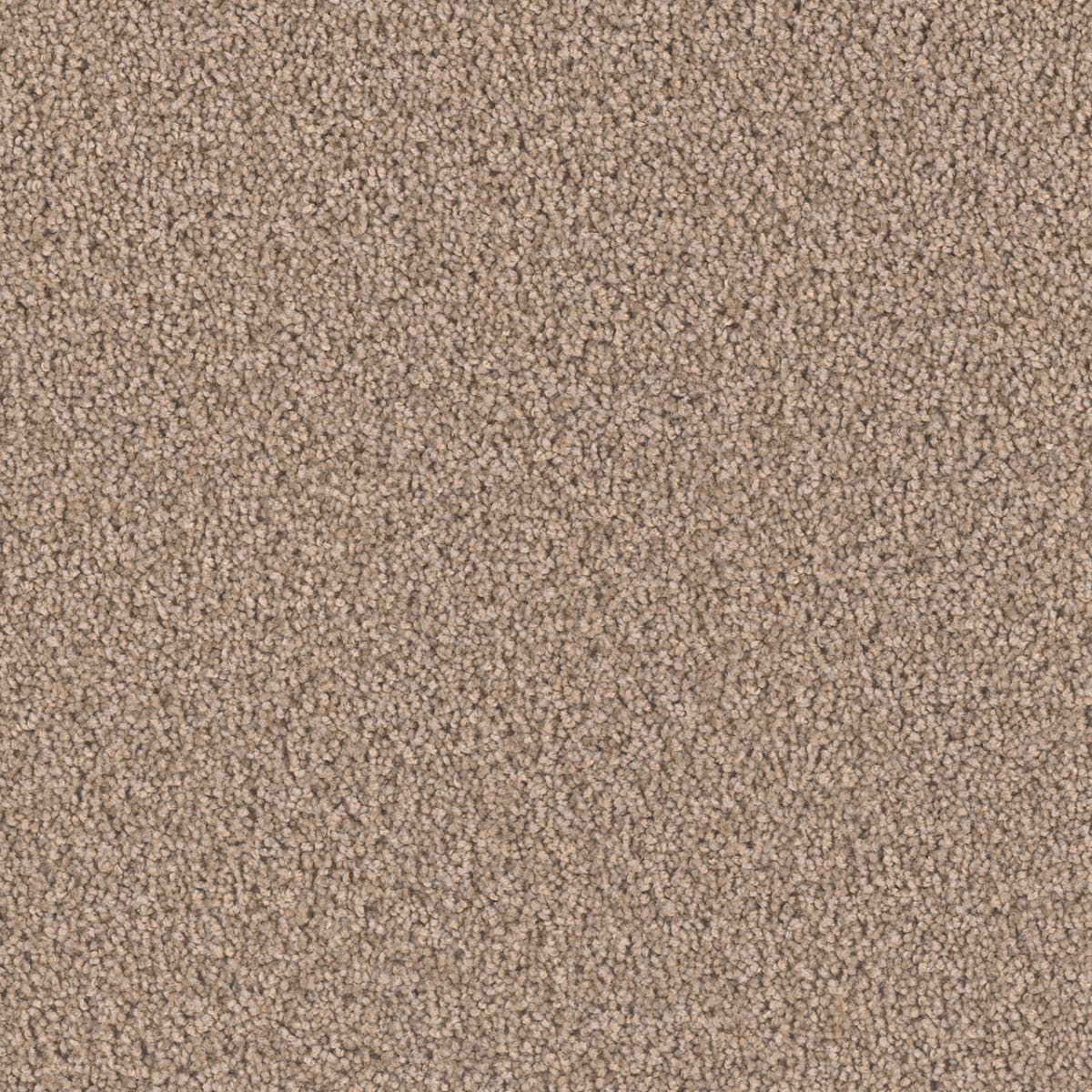 Exceptional II — Tigris swatch