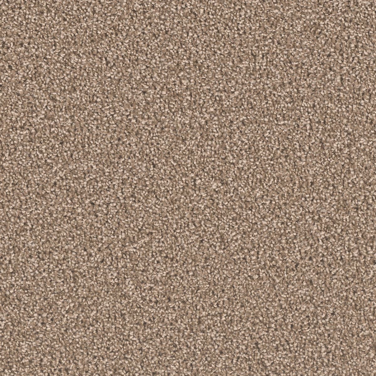 Exceptional II — Dove swatch