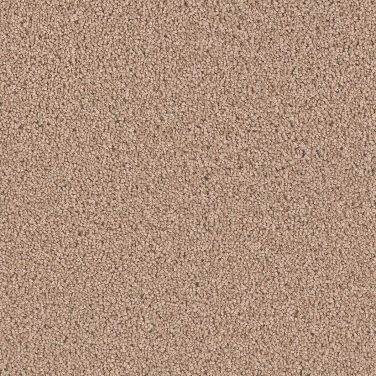 Exceptional II — Doeskin swatch