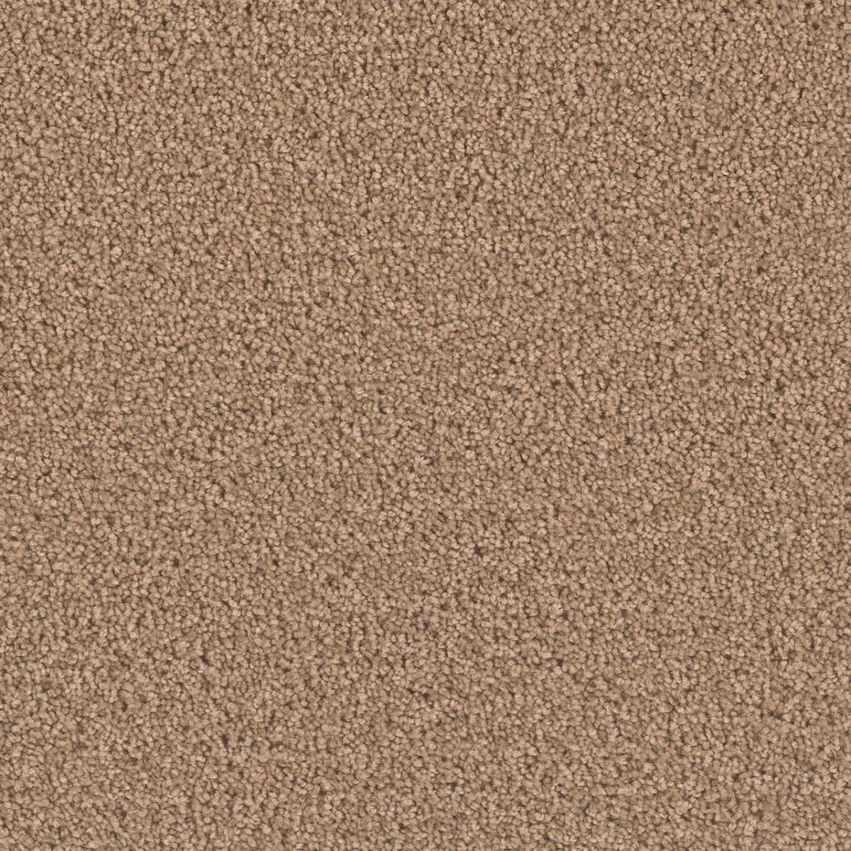 Exceptional II — Sable swatch