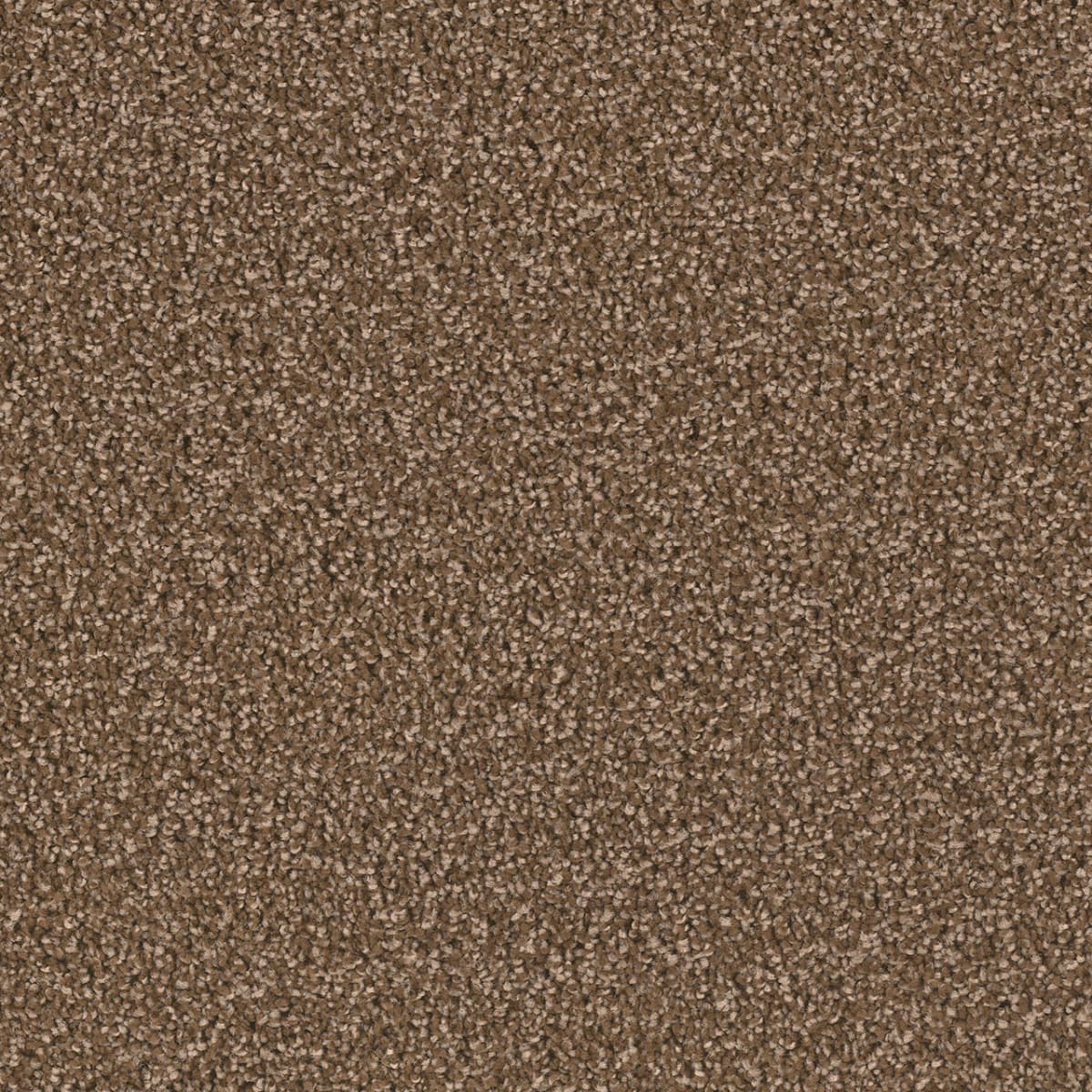 Exceptional II — Black Walnut swatch