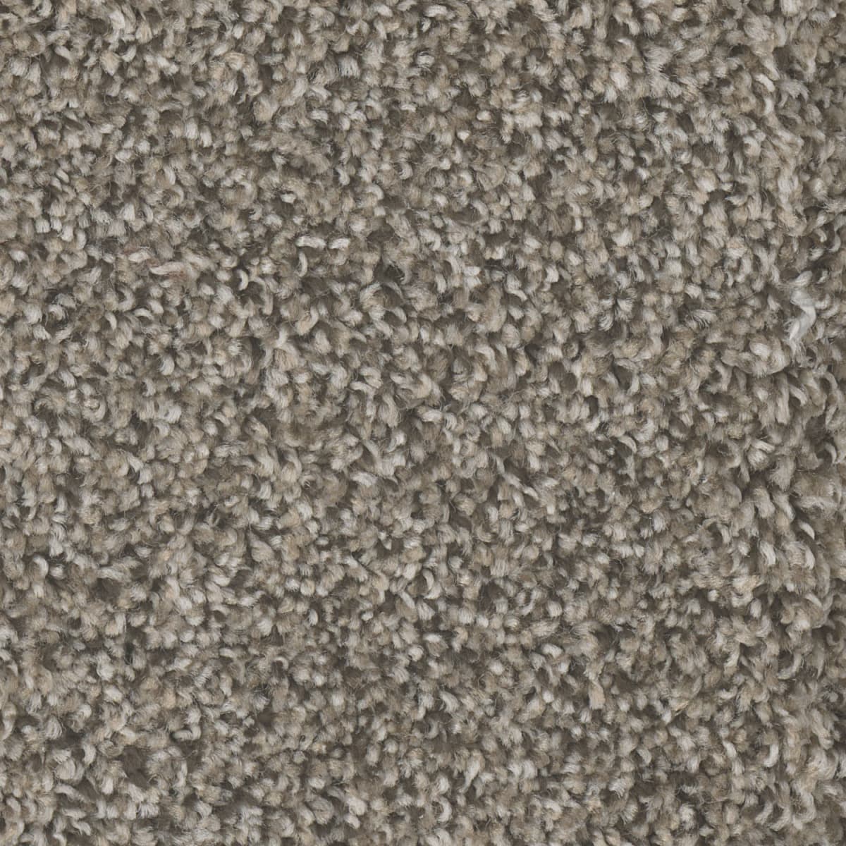 DreamWeaver Jackson Hole I — Deep Thistle carpet swatch