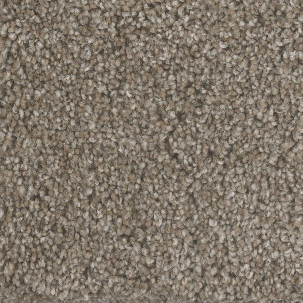 DreamWeaver Jackson Hole I — Praire Sun carpet swatch