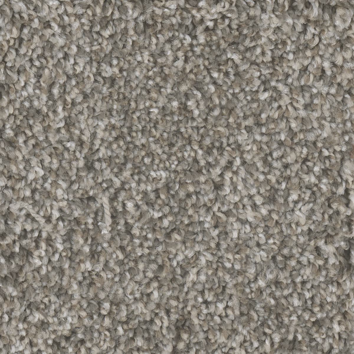 DreamWeaver Jackson Hole I — Edgewood carpet swatch