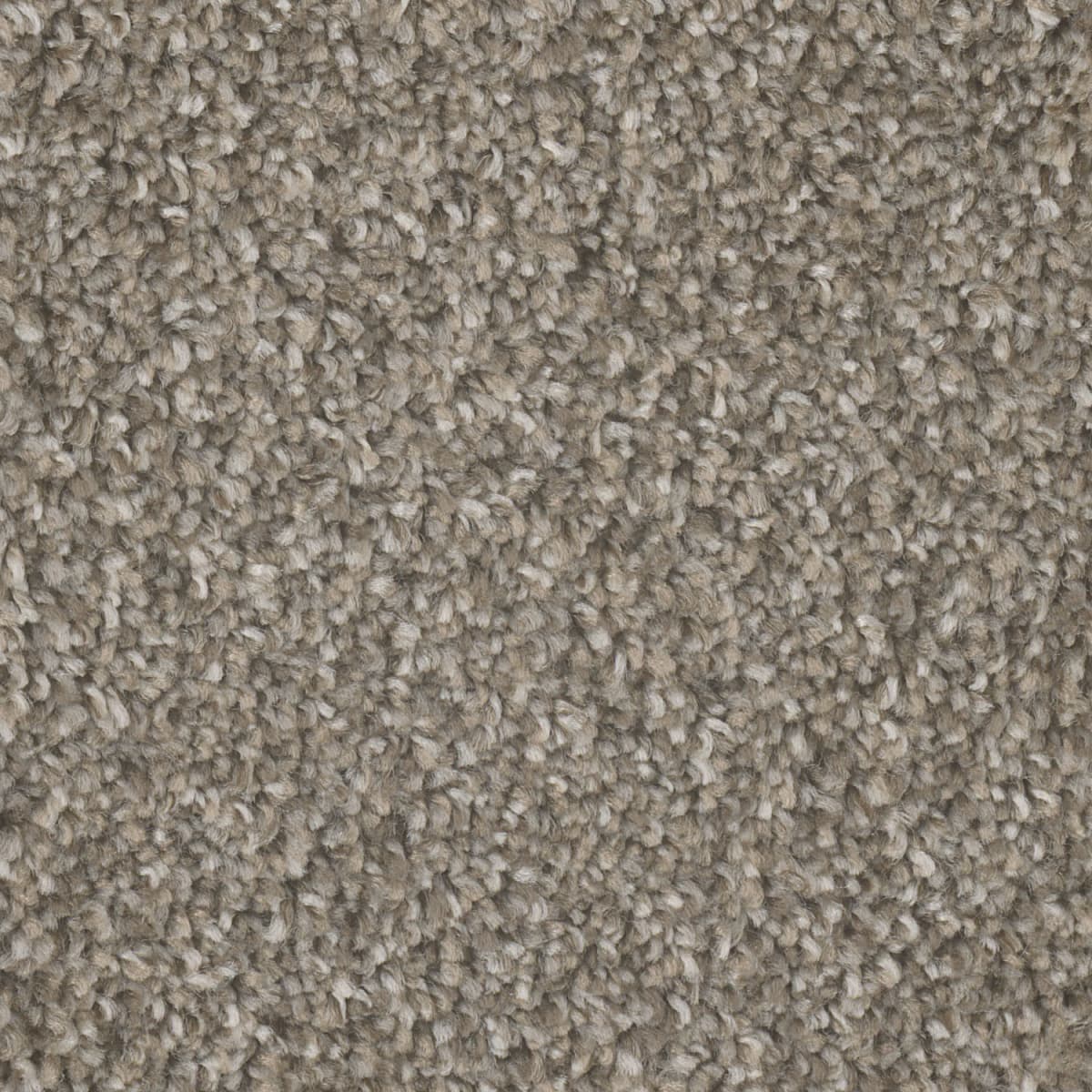 DreamWeaver Jackson Hole I — Campground carpet swatch