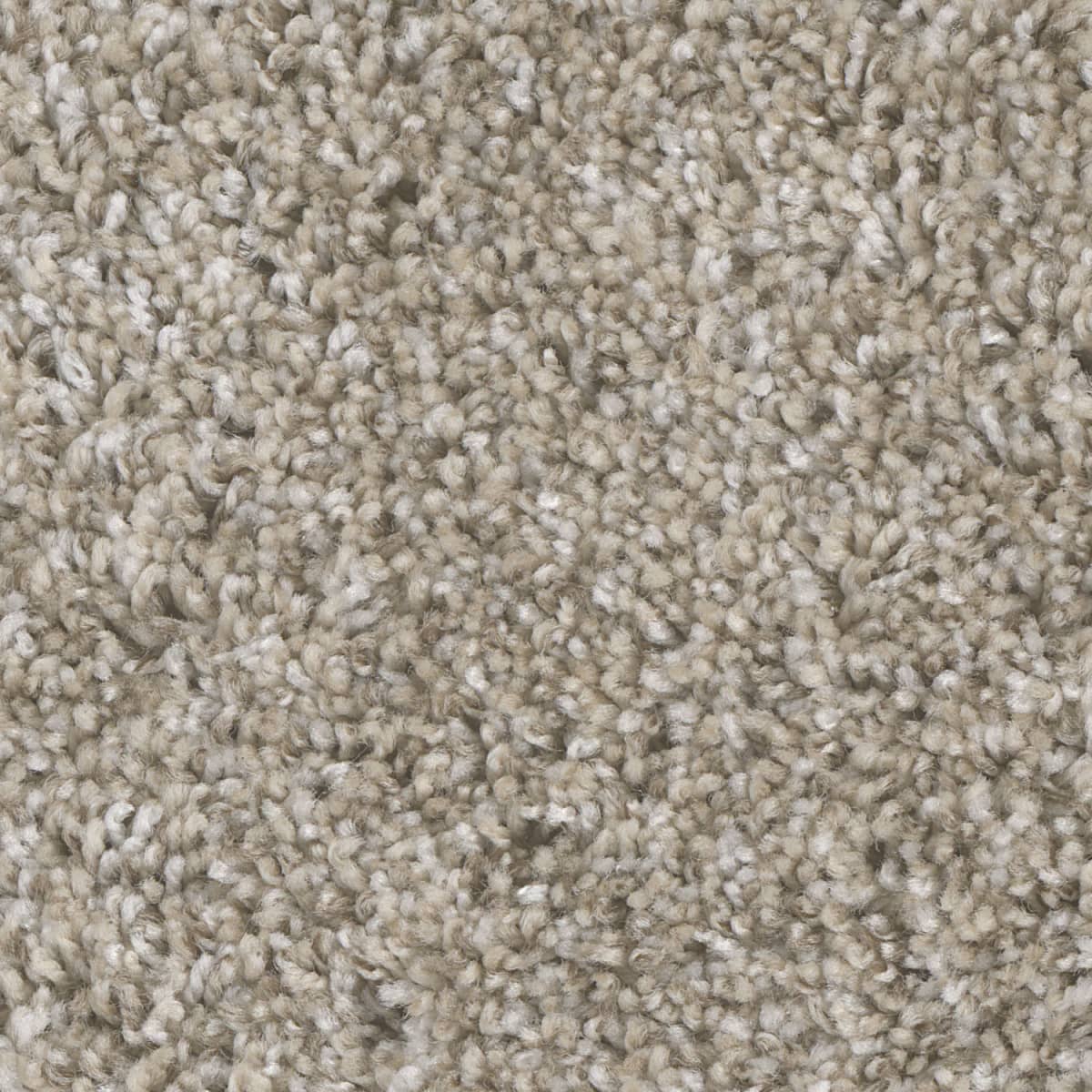 DreamWeaver Jackson Hole I — Alpine Bay carpet swatch