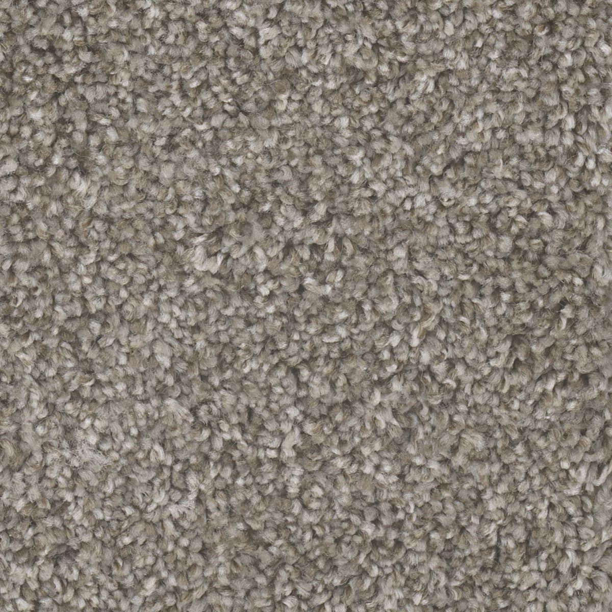 DreamWeaver Jackson Hole I — Cedar Way carpet swatch