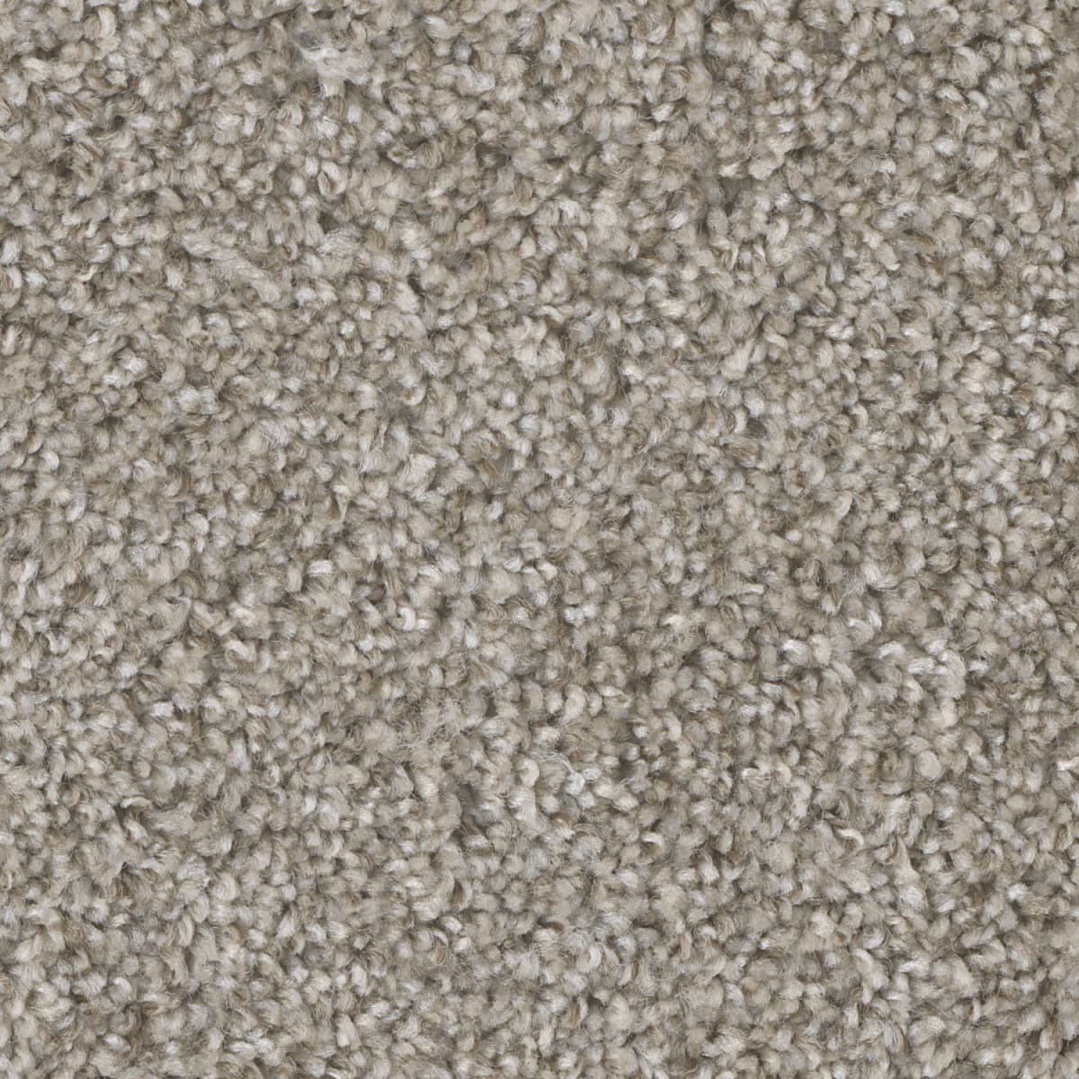 DreamWeaver Jackson Hole I — Sierra Lace carpet swatch