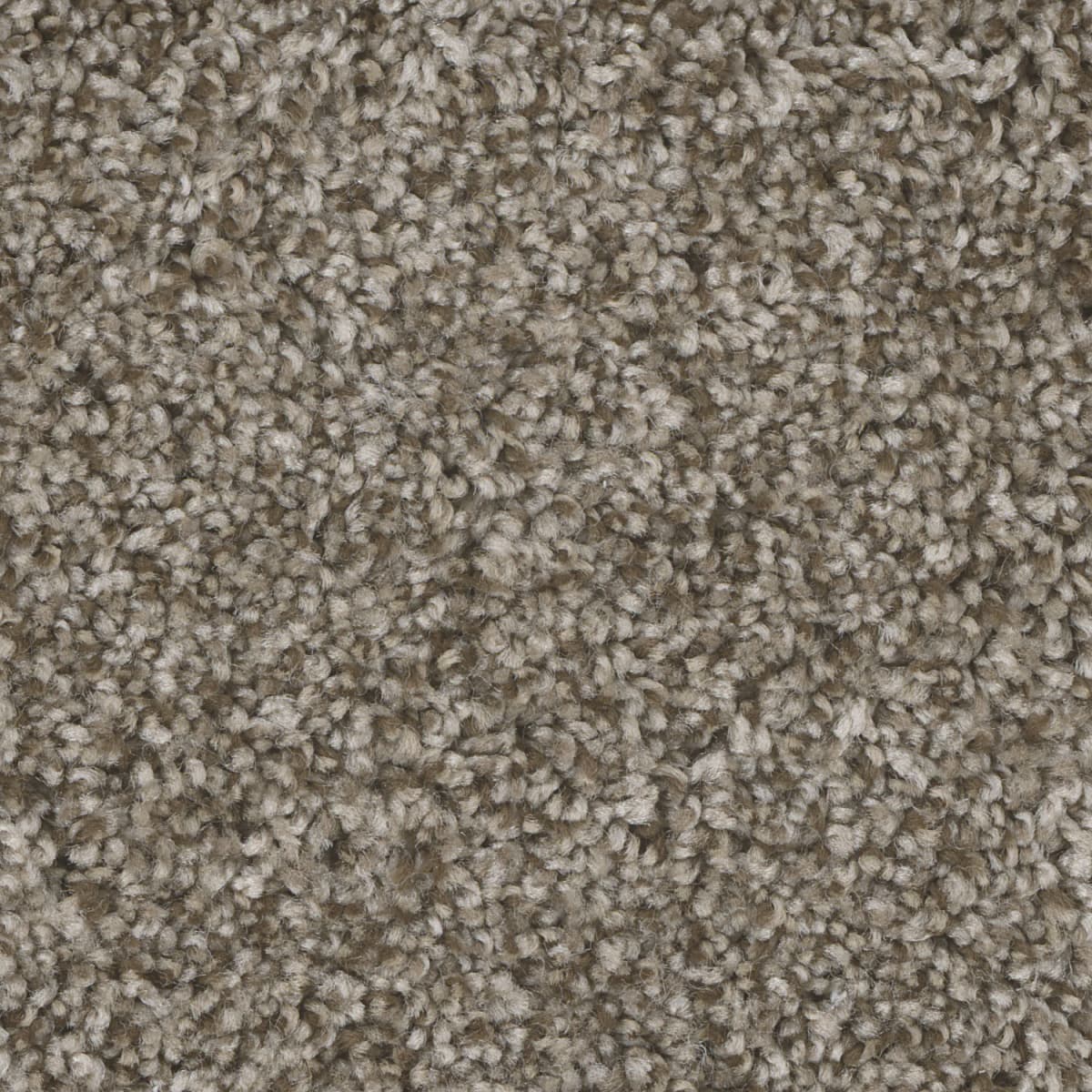 DreamWeaver Jackson Hole I — Walnut Ridge carpet swatch