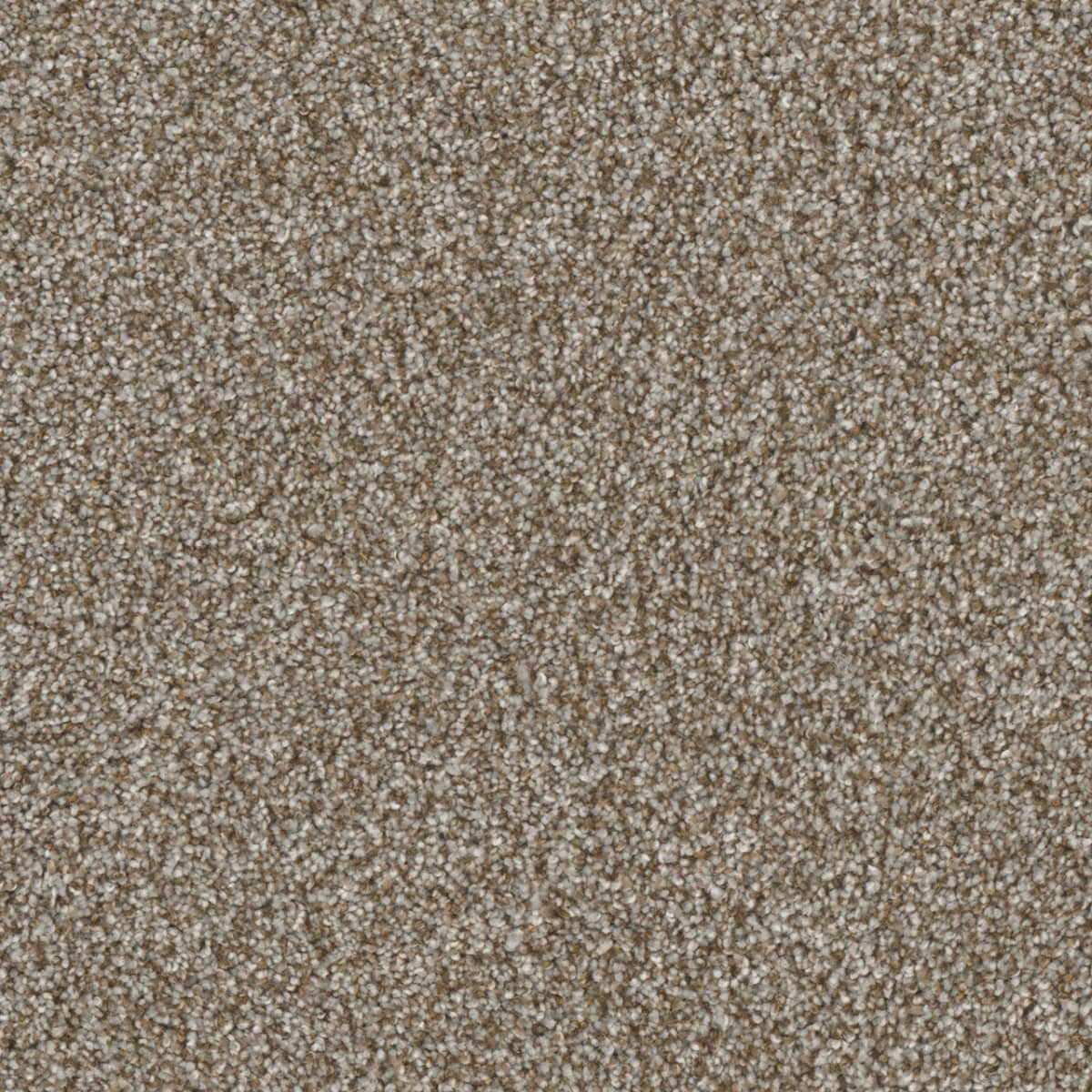 DreamWeaver Jackson Hole I — Gravel carpet swatch