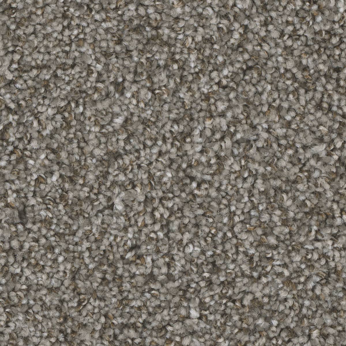 DreamWeaver Jackson Hole I — Bay Dunes carpet swatch