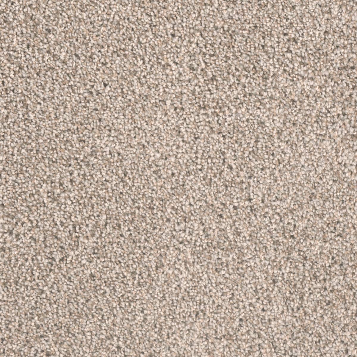 DreamWeaver Metropolitan II — Stucco carpet swatch