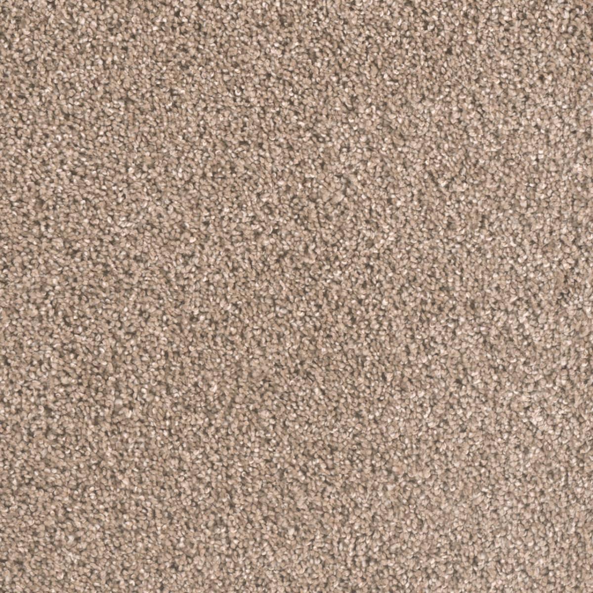 DreamWeaver Metropolitan II — Tumbleweed carpet swatch