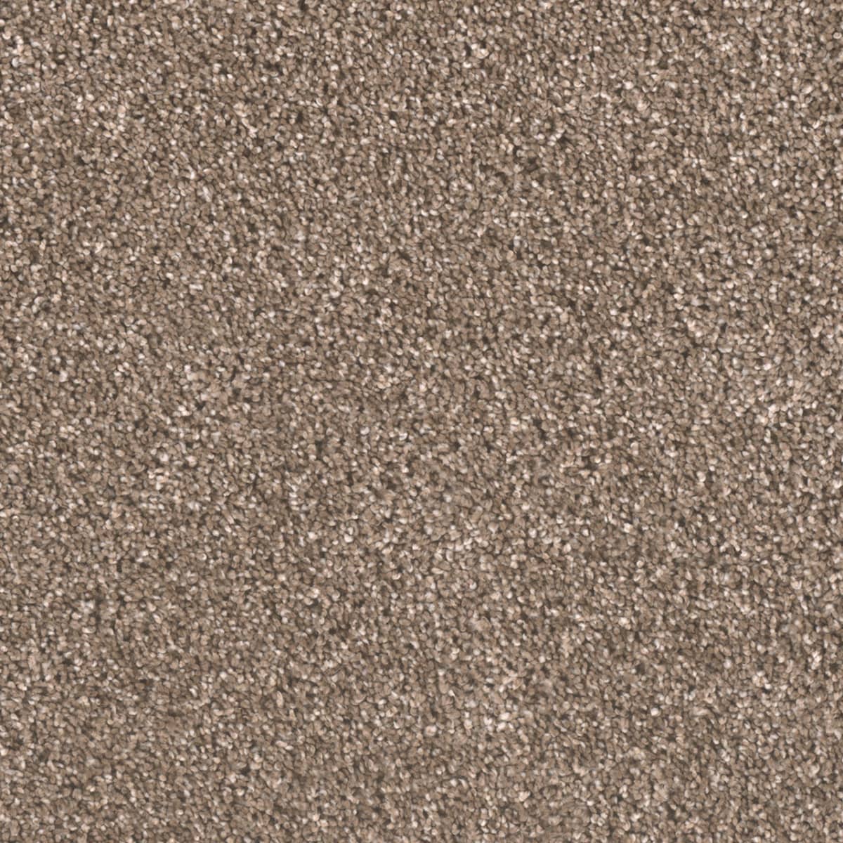 DreamWeaver Metropolitan II — Wynwood carpet swatch