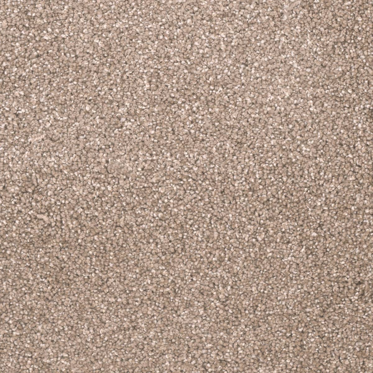 DreamWeaver Metropolitan II — Acorn carpet swatch