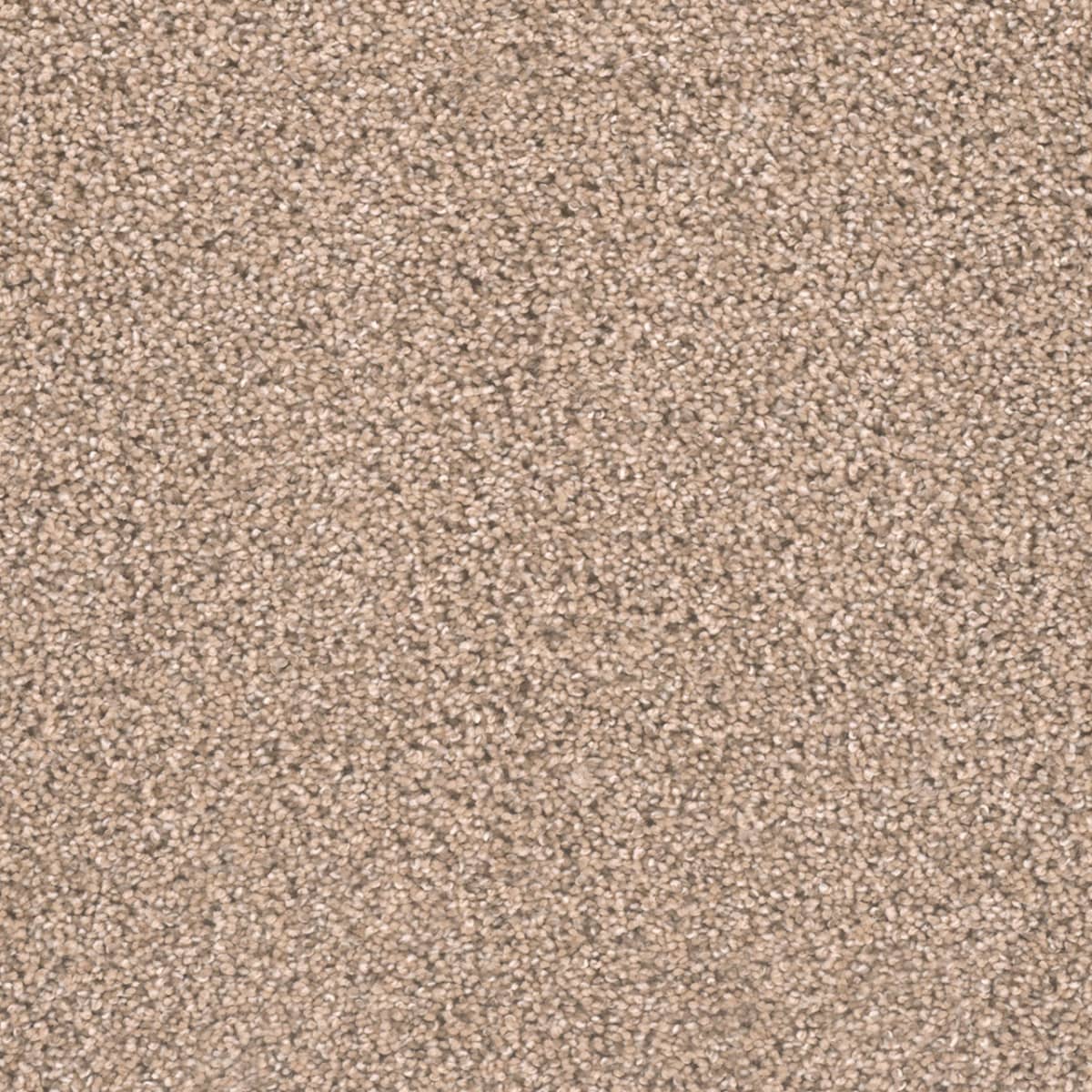 DreamWeaver Metropolitan II — Ginger carpet swatch